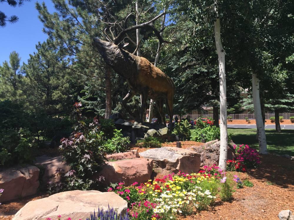 Best Western Antlers At Glenwood Springs